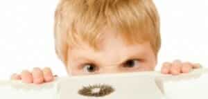 inquisitive kid