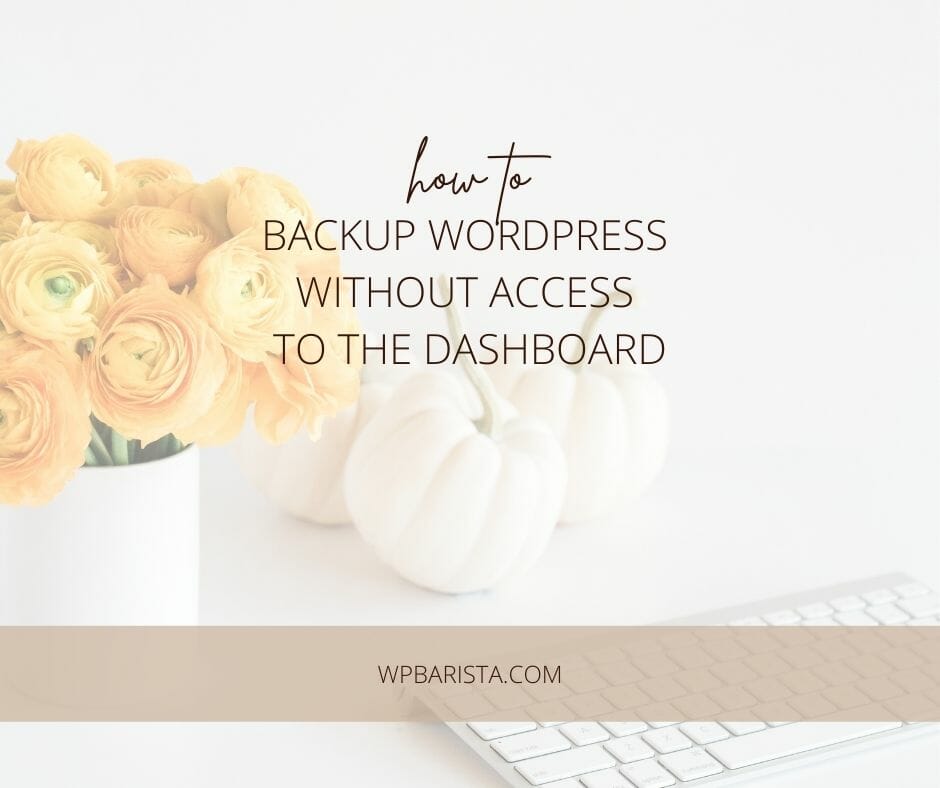 How to Backup WordPress When You Can’t Access the Dashboard