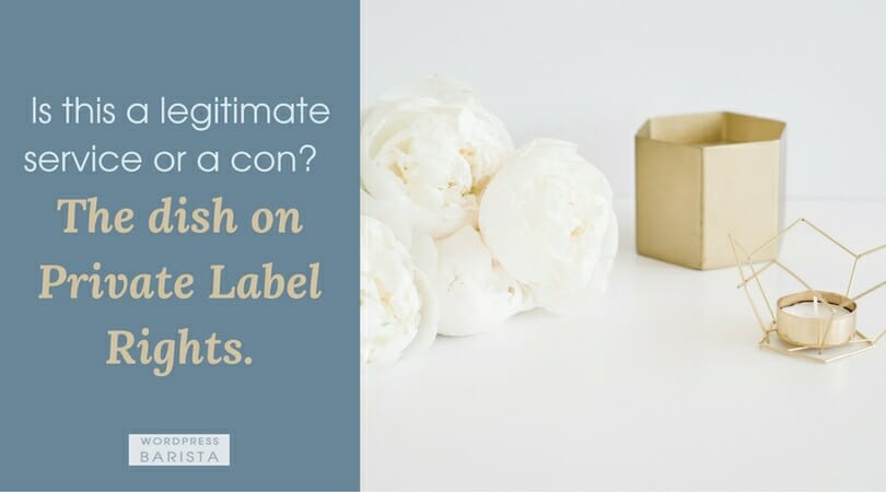 Is this a legitimate service or a con?  The dish on Private Label Rights.