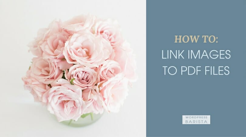 How To: Link Images to PDF files