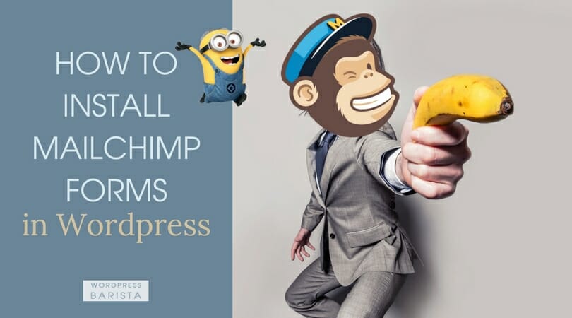 How To Install MailChimp Forms in WordPress Without Going Bananas