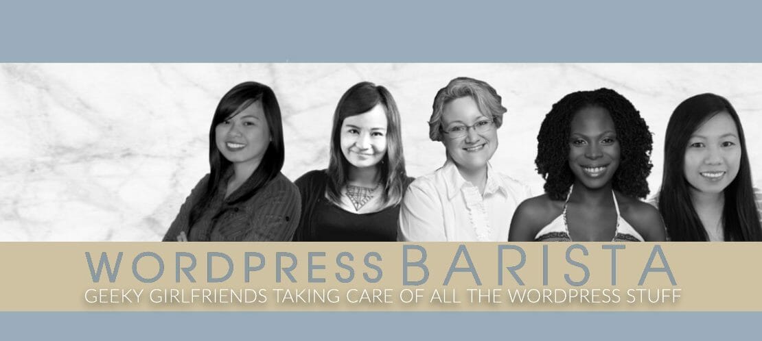 The Defining Moment for WordPress Barista And Our Future