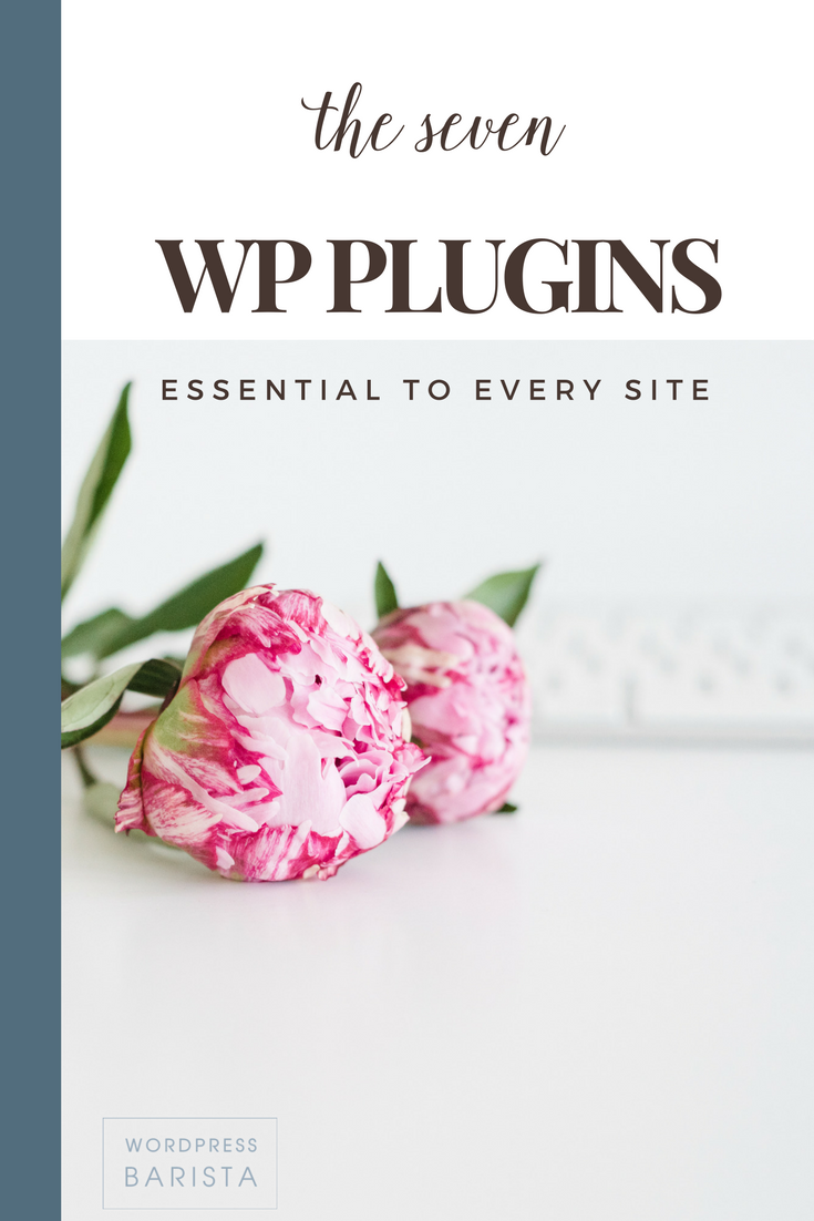 The ONLY 7 Plugins You Need In WordPress - WPBarista Blogging News For ...