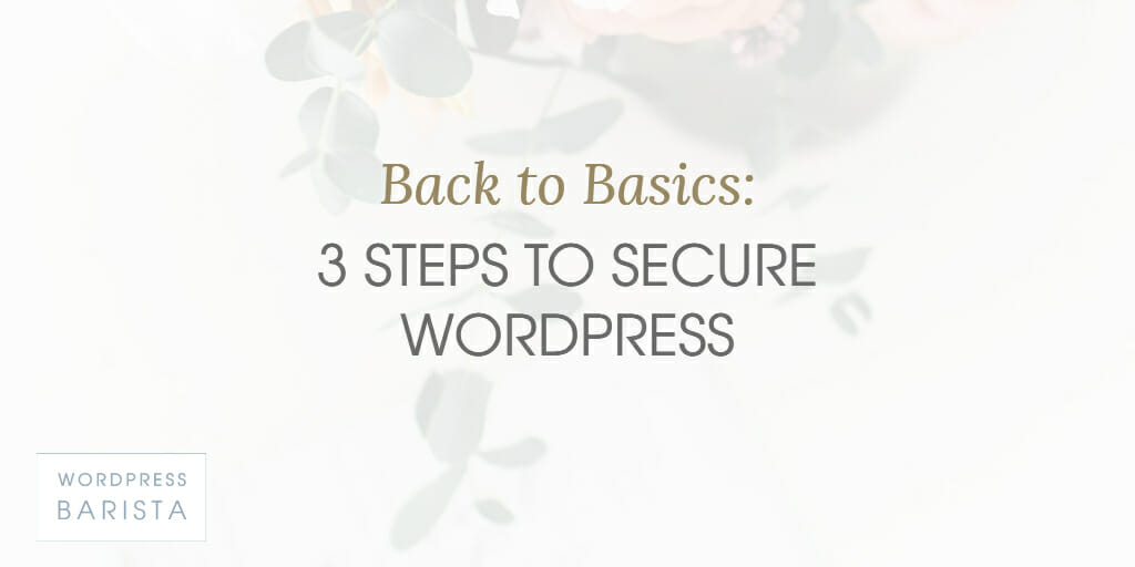 Back to Basics: 3 Steps to Secure Your Site