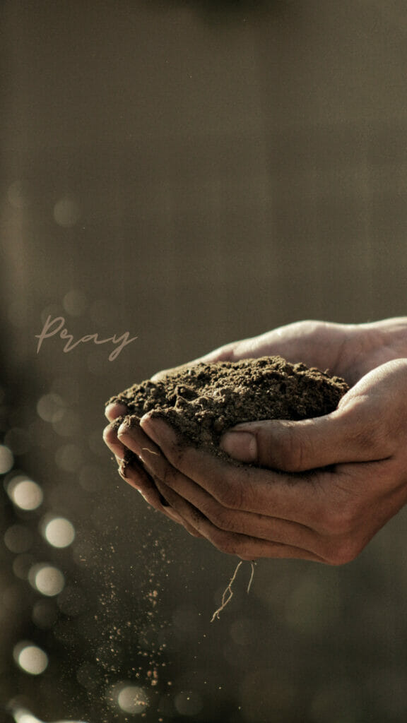soil in hands pray wallpaper